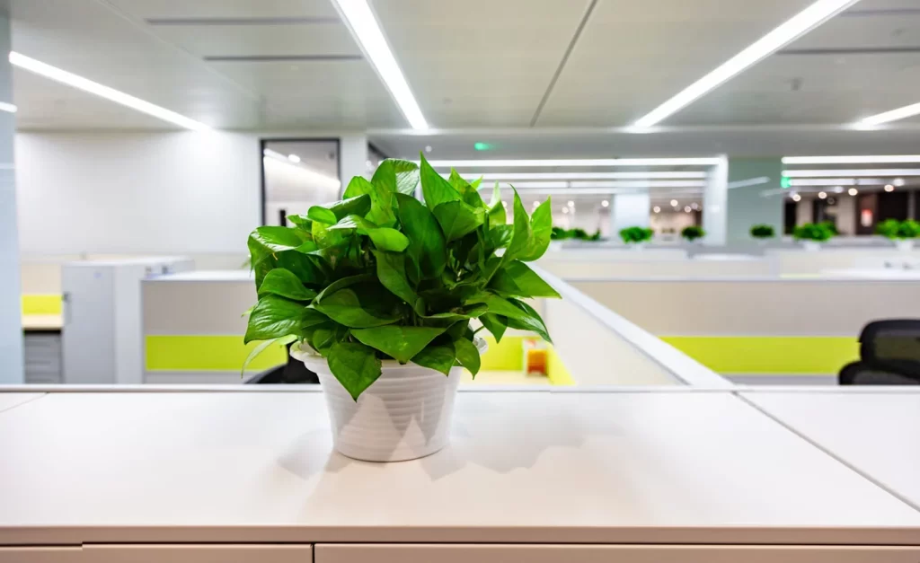 The Advantages of Green Office Cleaning with LJDM