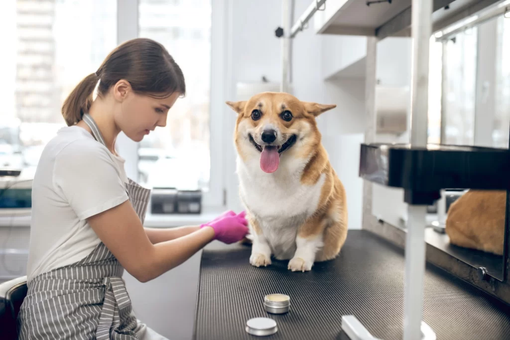 Your Partner in Animal Care Facility Cleanliness