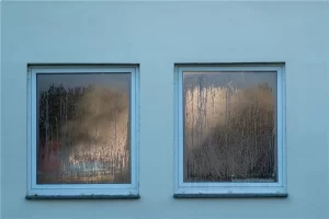 Professional vs. In-House Maintenance