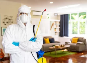 cleaning professional - How Often Is Enough